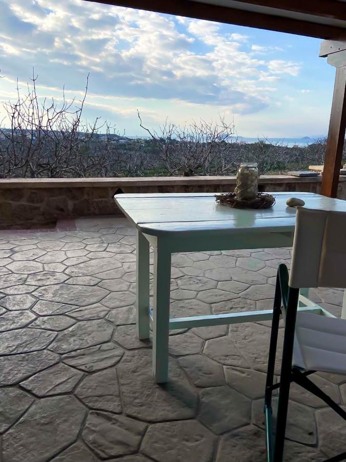 Pistachio Guesthouse, Παραδοσιακός Ξενώνας Vathí Zewnętrze zdjęcie