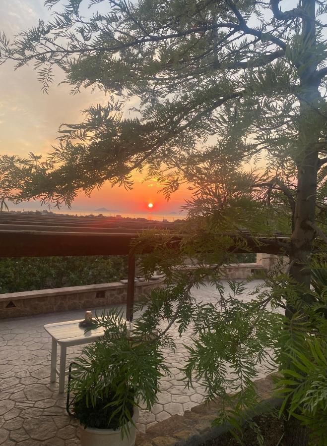 Pistachio Guesthouse, Παραδοσιακός Ξενώνας Vathí Zewnętrze zdjęcie